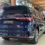 BYD MAX 2021 из Китая