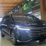 BYD MAX 2021 из Китая
