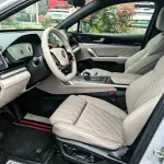 BYD Tang New Energy 2025 из Китая