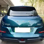 Ora Ora Good Cat 2024 из Китая