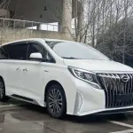 GAC Motor Trumpchi M8 2021 из Китая