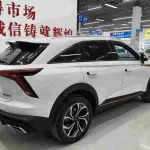Haval Shenshou 2022 из Китая