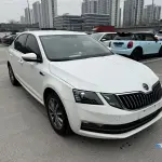 Skoda Octavia 2020 из Китая
