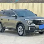 GAC Motor Trumpchi GS8 2021 из Китая