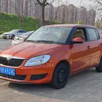 Skoda Fabia 2014 из Китая