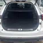 Hongqi Hongqi HS5 2021 из Китая