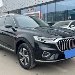 Hongqi Hongqi HS5 2021 из Китая