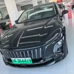 Hongqi Hongqi E-QM5 2022 из Китая
