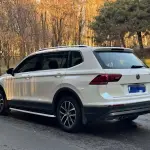 Volkswagen Tiguan L 2019 из Китая