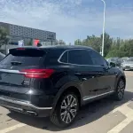 Hongqi Hongqi HS5 2023 из Китая