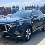 Hongqi Hongqi HS5 2021 из Китая