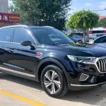 Hongqi Hongqi HS5 2021 из Китая