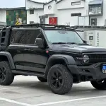 Tank Tank 300 2022 из Китая