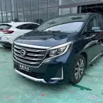 GAC Motor Trumpchi M8 2020 из Китая