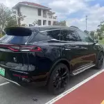 BYD Tang New Energy 2021 из Китая
