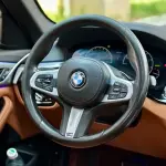 BMW 5 Series (Import) 2019 из Китая