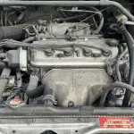Honda Odyssey 2002 из Китая