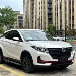 Fengguang Fengguang 500 2022 из Китая