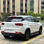Fengguang Fengguang 500 2022 из Китая