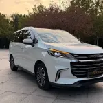 大通 G50 2020 из Китая