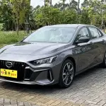 GAC Motor Shadow Leopard 2025 из Китая
