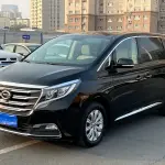 GAC Motor Trumpchi M8 2018 из Китая