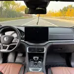BYD PLUS New Energy 2022 из Китая