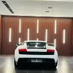 Lamborghini Gallardo 2013 из Китая