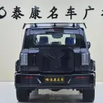 CYBERSPACE Tank 300 2025 из Китая