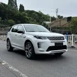 Land Rover Discovery Sport из Китая