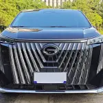GAC Motor Trumpchi M8 2025 из Китая