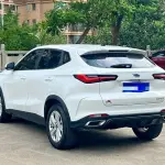 Oshan Oushang X5 2021 из Китая