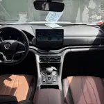 BYD PLUS 2020 из Китая