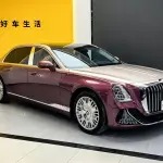 Hongqi 红旗金葵花国雅 2024 из Китая