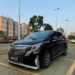 GAC Motor Trumpchi M8 2019 из Китая