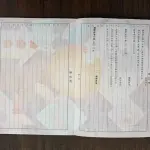 Volkswagen Passat 2022 186 л.с. 186 л.с. из Китая