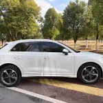 Audi Q3 2022 из Китая