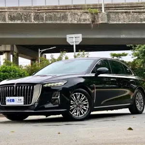 Hongqi Hongqi H5 2023 из Китая