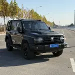 Tank Tank 300 2022 227 л.с. — лот 56838643 из Китая
