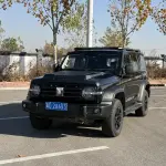 Tank Tank 300 2022 227 л.с. — лот 56838643 из Китая