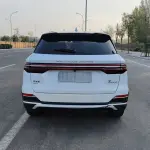 BYD Pro New Energy 2023 из Китая