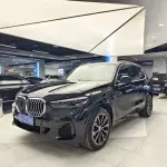 BMW X5 2022 245 л.с. 245 л.с. из Китая