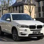 BMW X5 (Import) 2014 306 л.с. — лот 56739639 из Китая