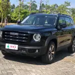 Haval Big Dog 2023 из Китая