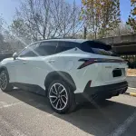Shanhai Shanhai L6 2025 из Китая
