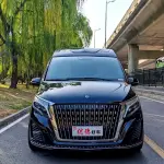 Mercedes-Benz V-Class 2021 из Китая