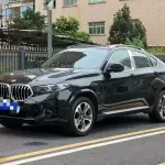 BMW X6 2010 из Китая