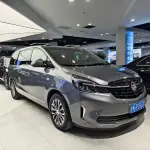 Buick GL8 2021 237 л.с. 237 л.с. 237 л.с. 237 л.с. из Китая