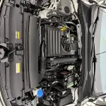 Volkswagen Lamando 2022 150 л.с. — лот 56909066 из Китая