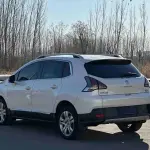 Peugeot 3008 2017 из Китая
